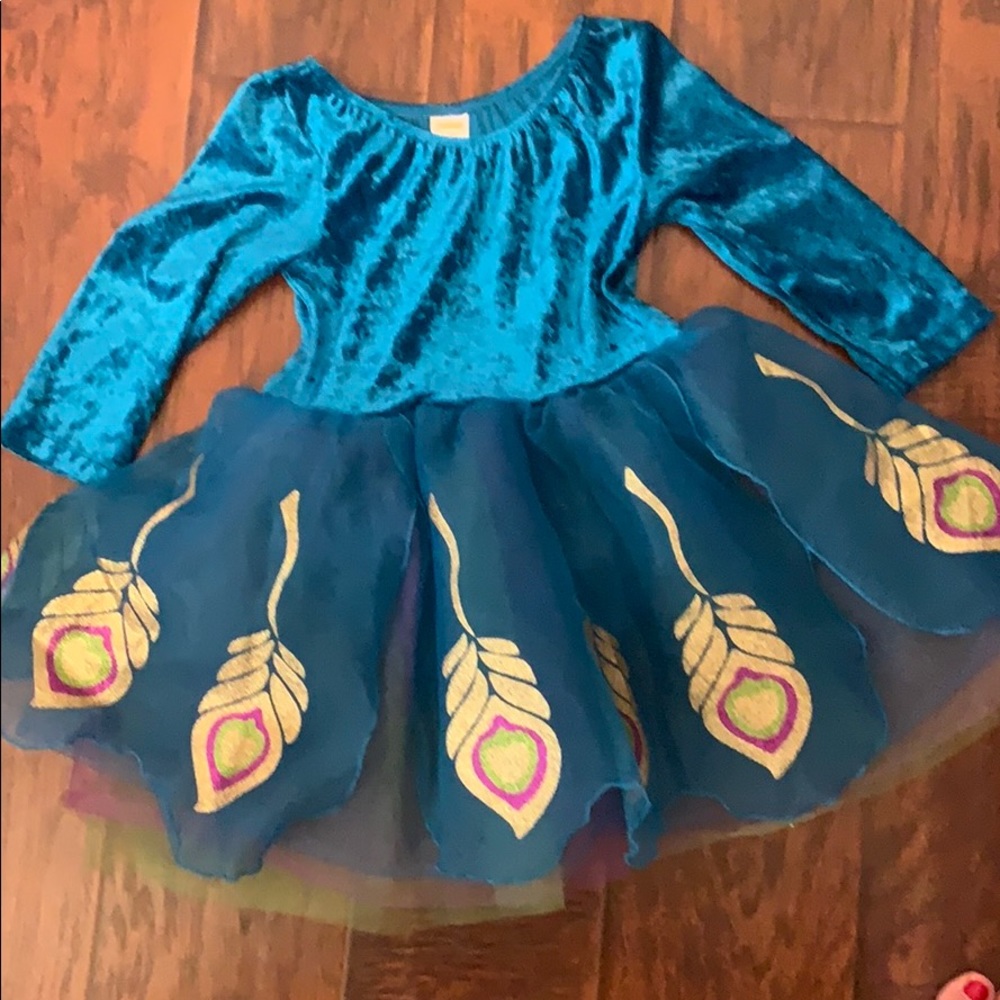 Gorgeous peacock halloween costume